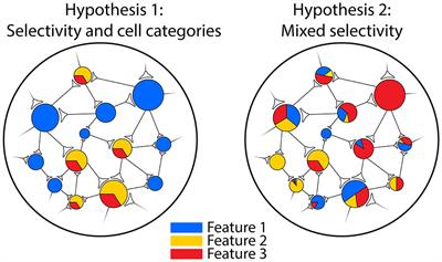 New insights on single-neuron selectivity in the era of population-level approaches